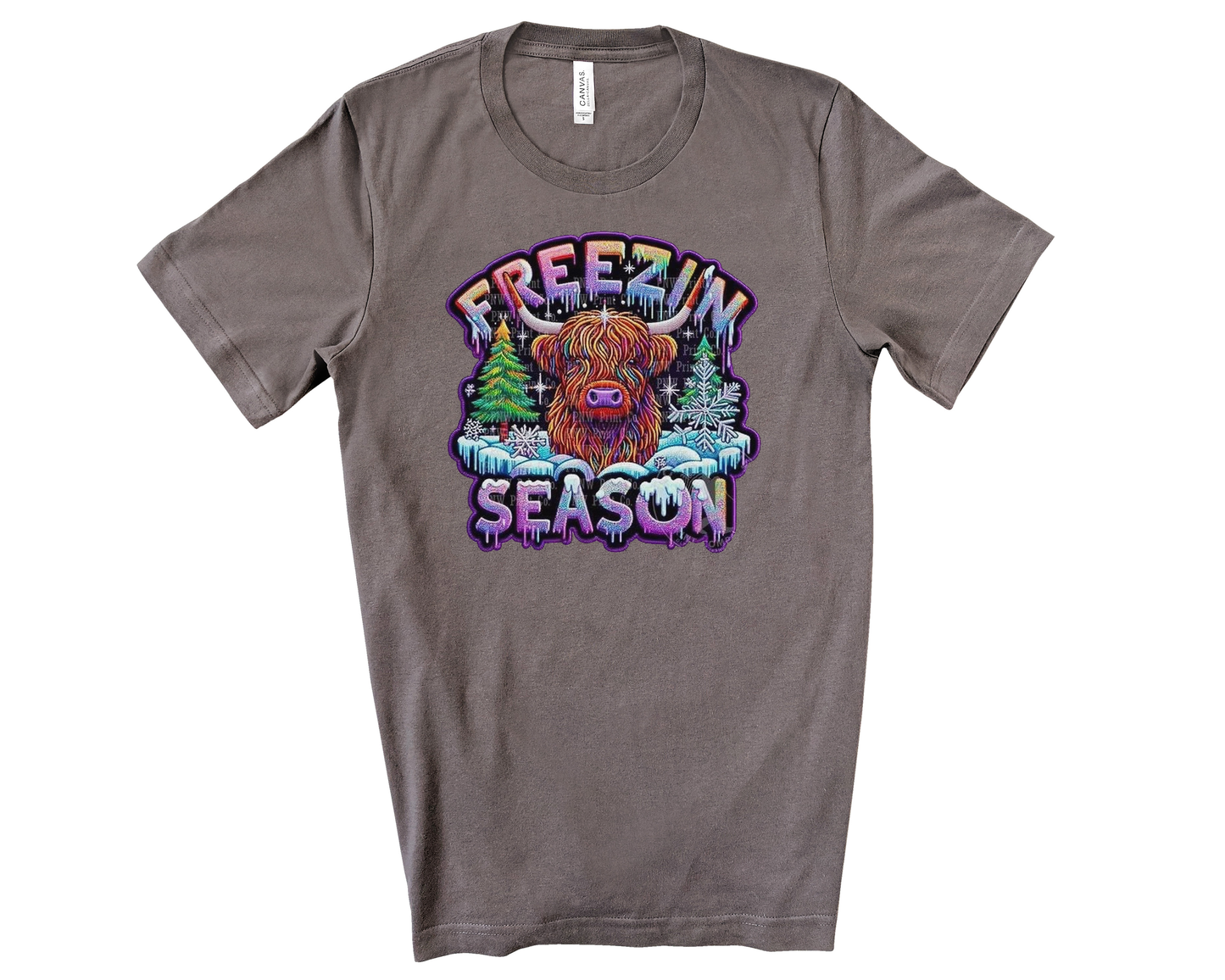 Freezin’ Season Premium BellaCanvas T-Shirt
