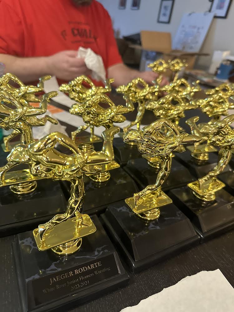 Basic Trophy - Various options
