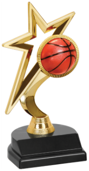 Gold Star Trophy - FREE Personalization!!