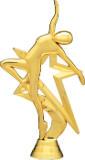 Gold Star Trophy - FREE Personalization!!