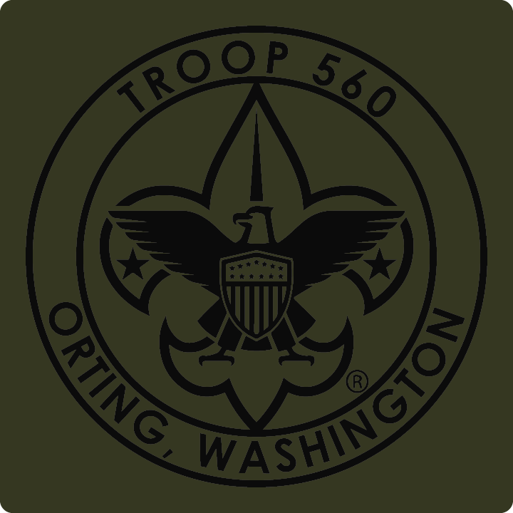 Boy Scouts Troop 560