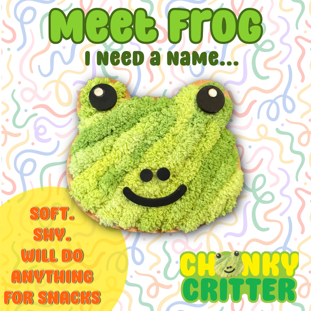 🐸 Frog Chonky Critter Kits - Collect them all!