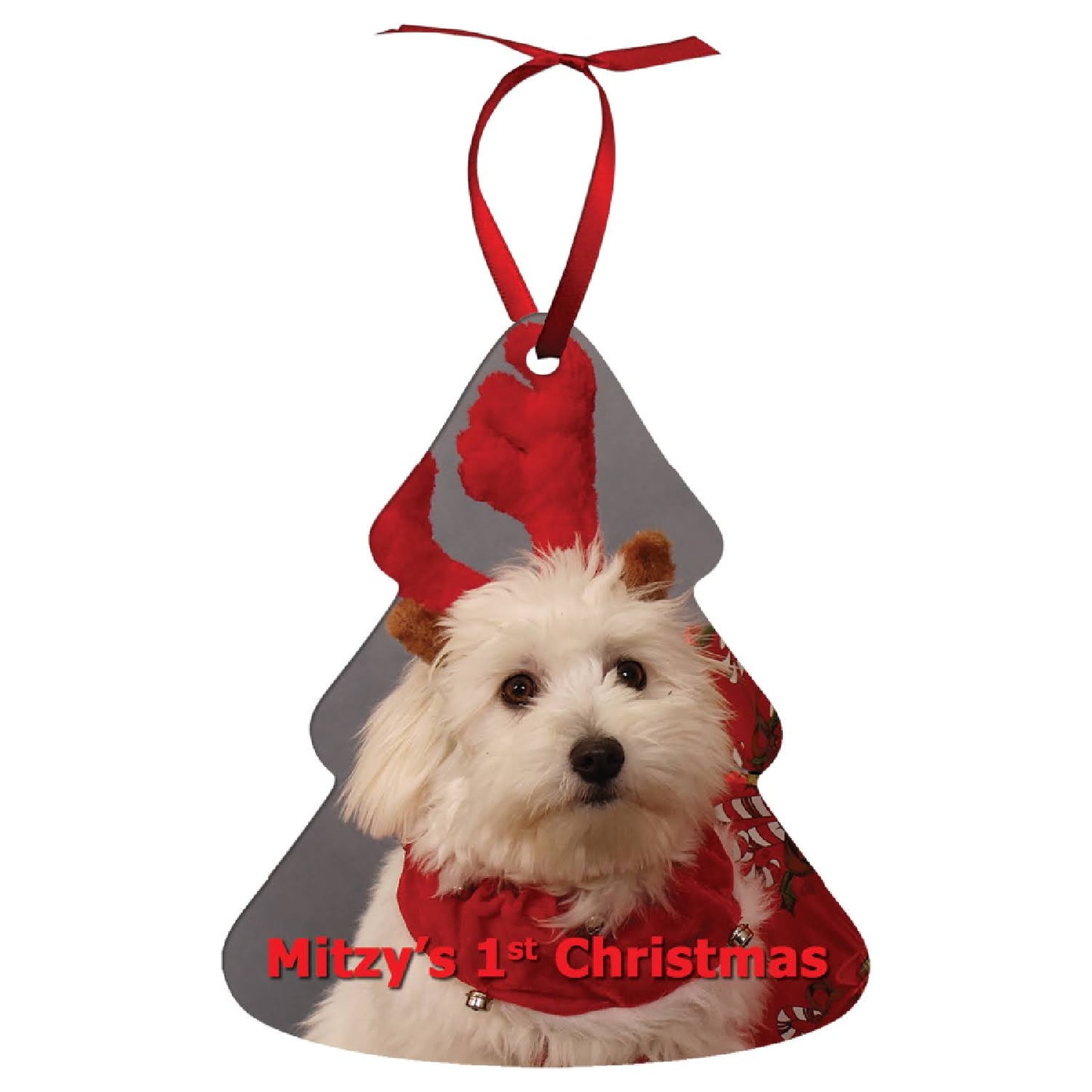 Custom Double-Sided Aluminum Photo Ornaments – Full-Color, Gloss Finish