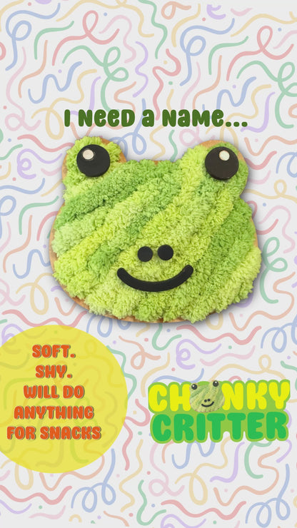 🐸 Frog Chonky Critter Kits - Collect them all!