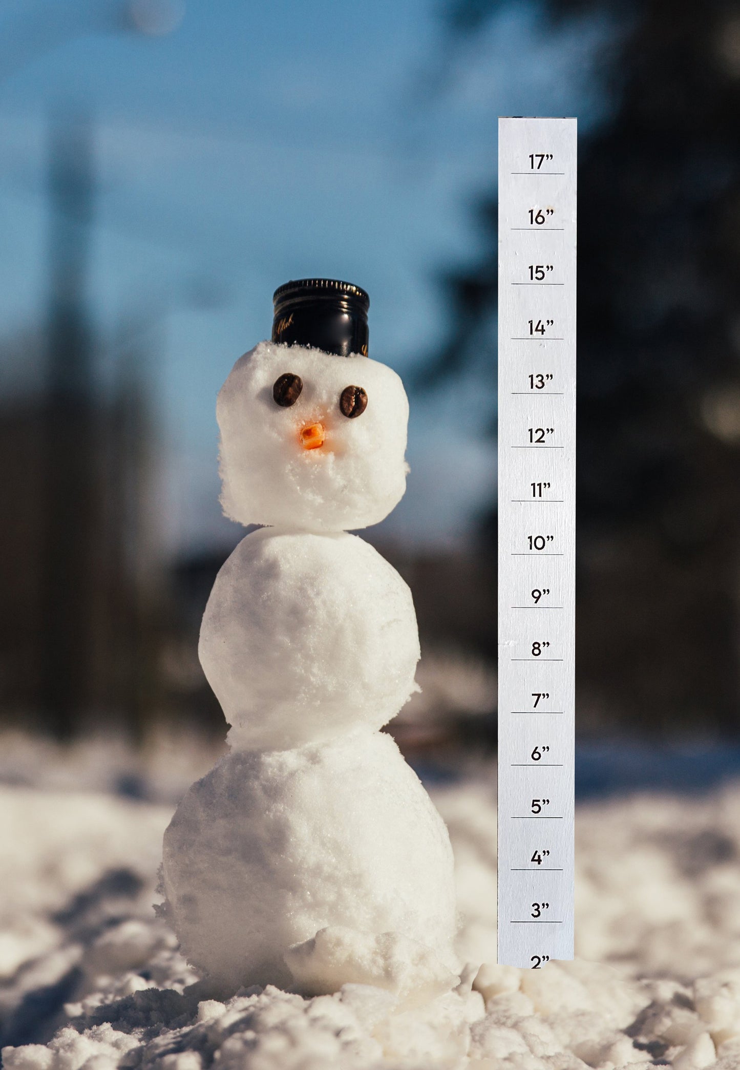 Regla de nieve: ¡Listo para SUMERGIRTE en la nieve!