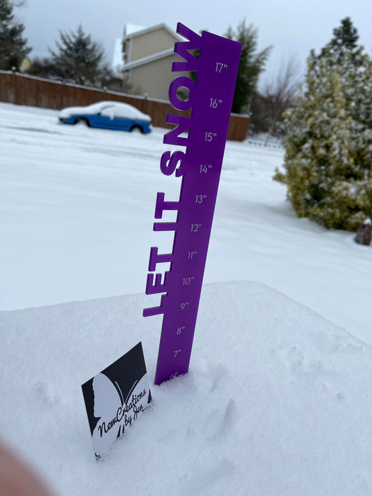 Regla de nieve: ¡Listo para SUMERGIRTE en la nieve!