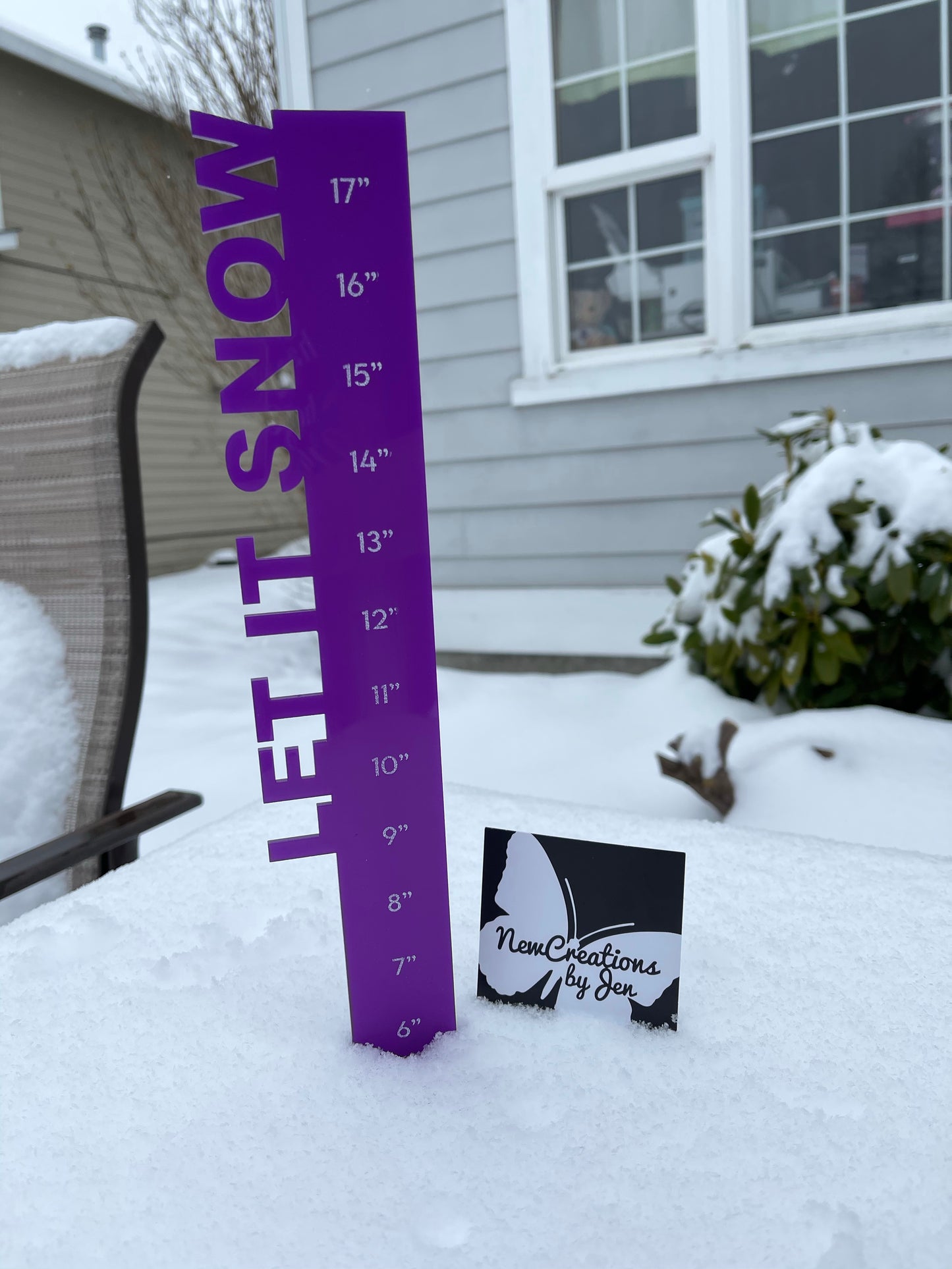 Regla de nieve: ¡Listo para SUMERGIRTE en la nieve!